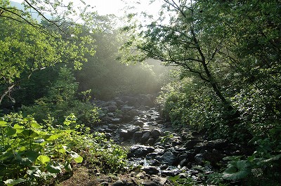 haya10_03.jpg