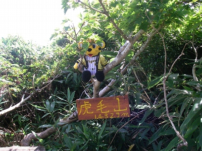 山頂のトラッキー1