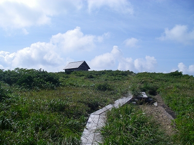 山頂の湿地帯