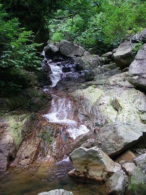 沢1