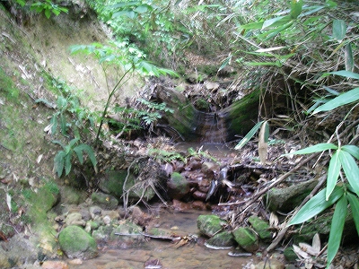 沢3