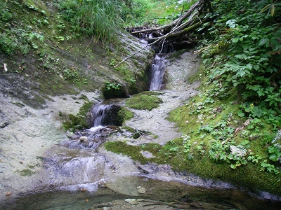 沢6