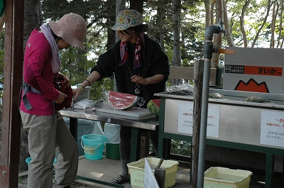 合戦小屋のスイカ