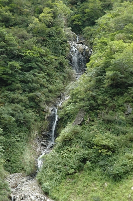 大鳥池3