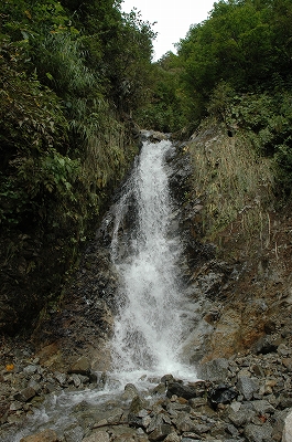 大鳥池4