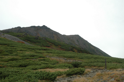 トム平