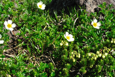 201208_chokai_02
