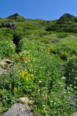 201208_chokai_07