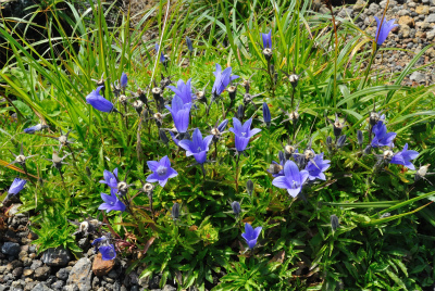 201208_chokai_09