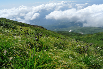 201208_chokai_10