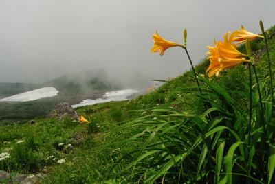 201208_chokai_13