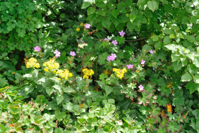 201208_chokai_15