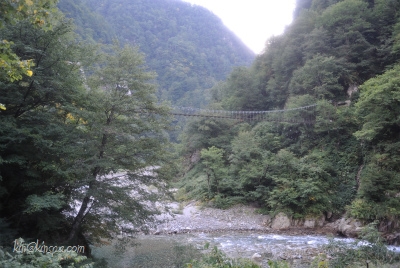 つり橋1