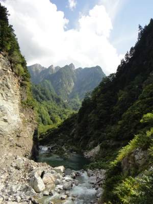 針の木岳