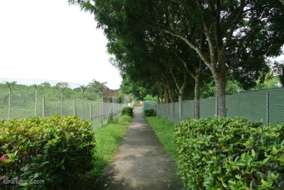 基地内通路