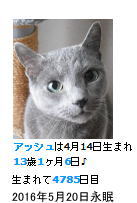 アッシュ