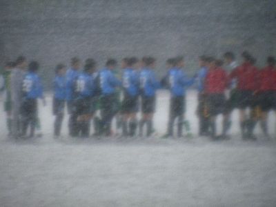 20120511_501671.jpg