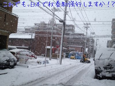 m_2013011414012550f391258ca90.jpg