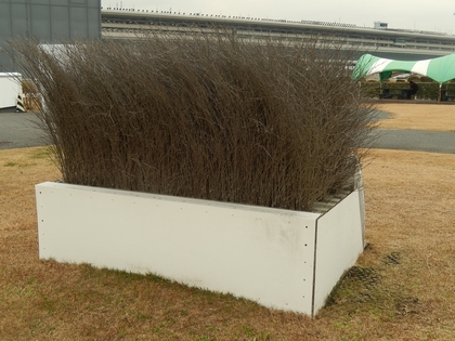 DSCN2497.jpg