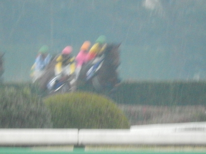 DSCN2606.jpg