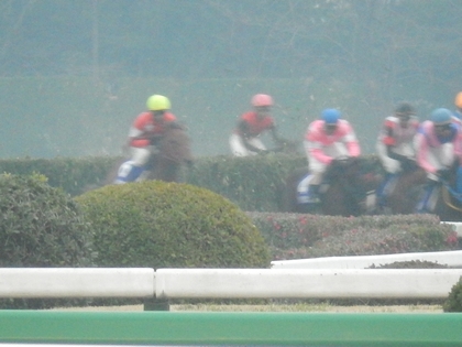DSCN2610.jpg