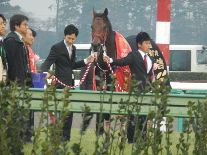DSCN2628.jpg