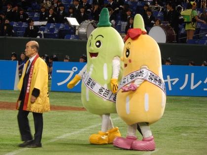 DSCN2879.jpg