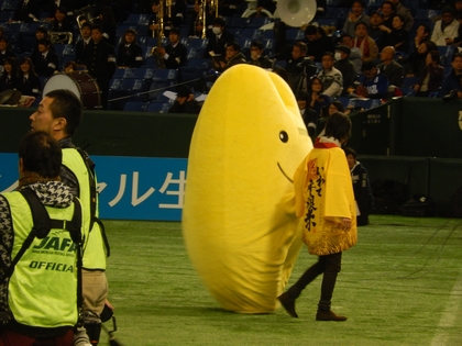 DSCN2895.jpg