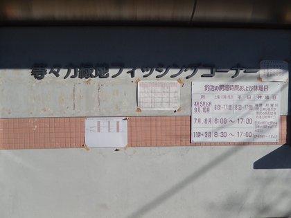 DSCN3372.jpg