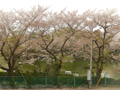 DSCN4527.jpg