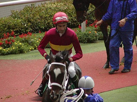 P9200084.jpg