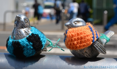 DSC_0005.jpg