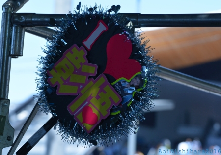 DSC_0206.jpg