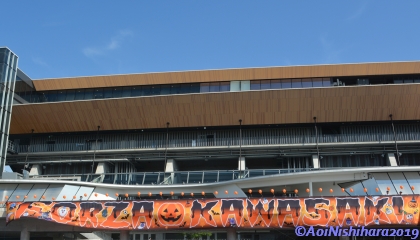 191102-125842-00.jpg