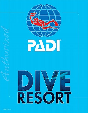 沖縄 ダイビングライセンス PADI