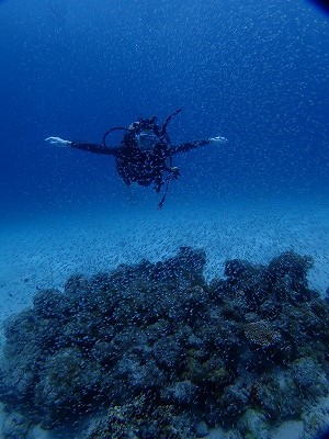 沖縄に卒業旅行でダイビング