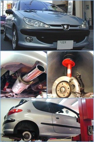 PEUGEOT206 SACHS
