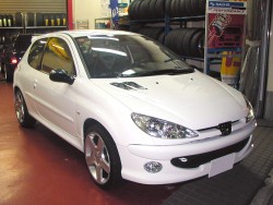 peugeot206rc