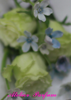 薔薇