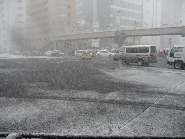 P1090515.JPG