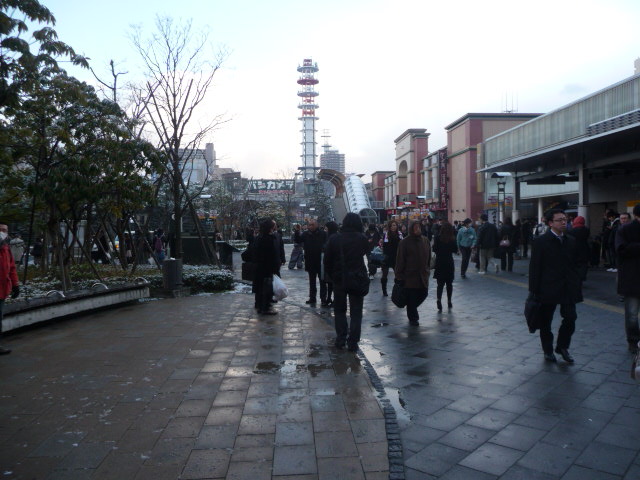 P1090519.JPG
