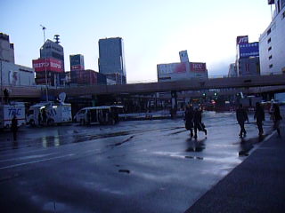 P1090524.JPG