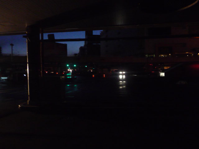 P1090528.JPG