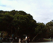 200611191139000.jpg