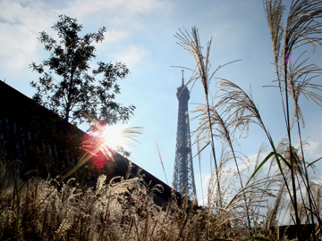 quai Branly-1