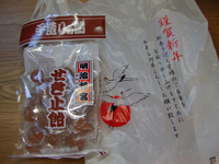 初詣/明治神宮3