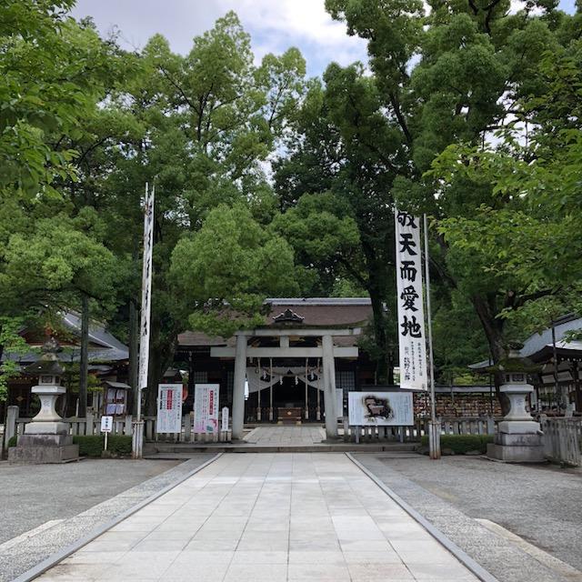 takeda2