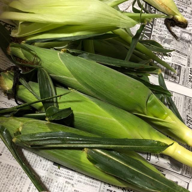 corn2