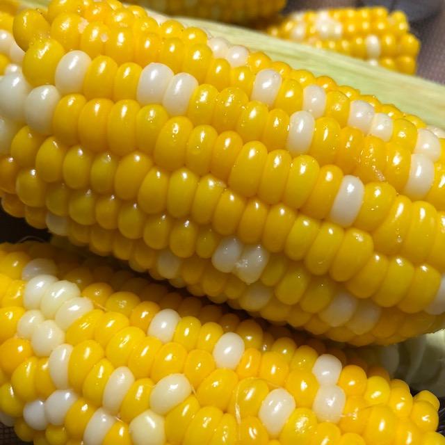 corn3