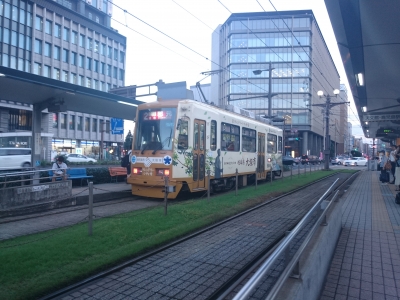 DSC_3678.JPG